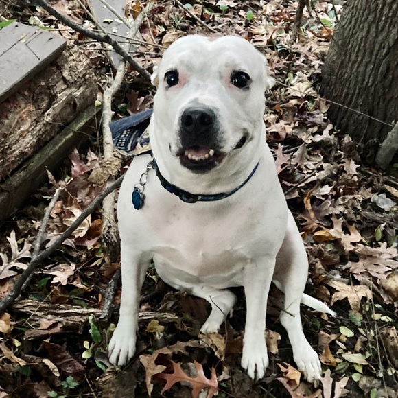 Meet your Posher, Holly - Picture 13 of 16